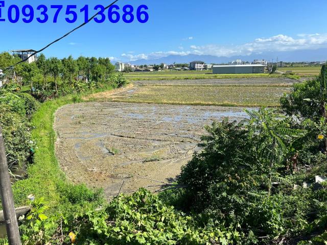 礁溪農地-5