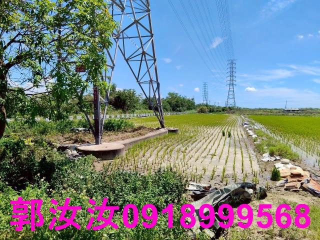台南柳營農地-8