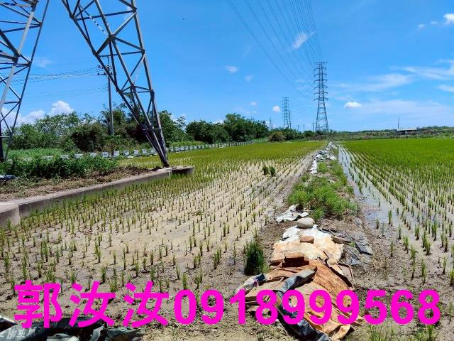 台南柳營農地-9