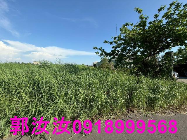 台南七股農地-5