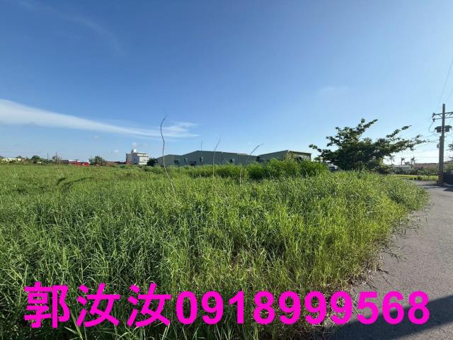 台南七股農地-7