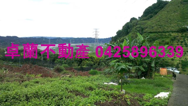 苗栗卓蘭農地-10
