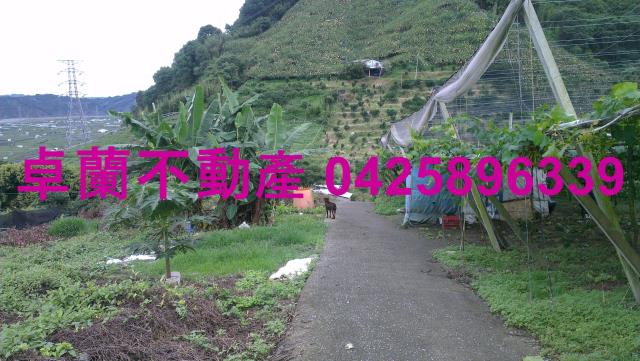 苗栗卓蘭農地-11