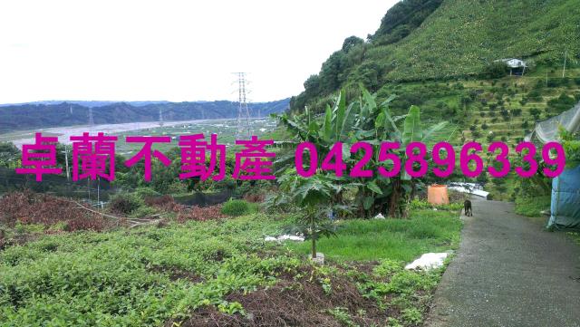 苗栗卓蘭農地-12