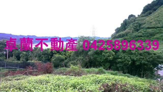 苗栗卓蘭農地-14