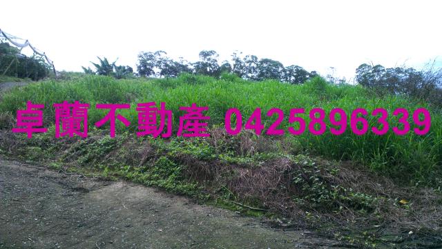 苗栗卓蘭農地-3