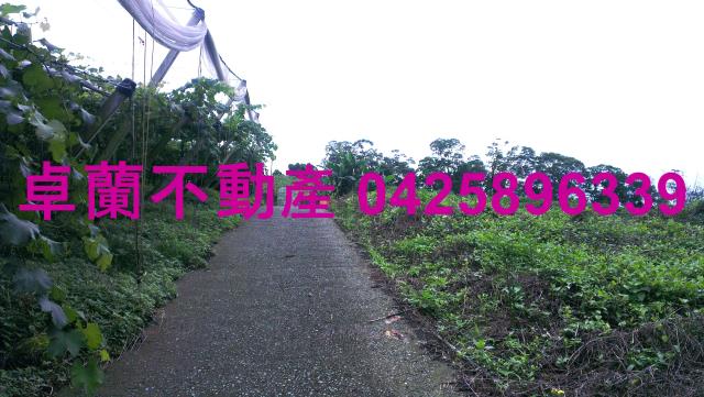 苗栗卓蘭農地-4