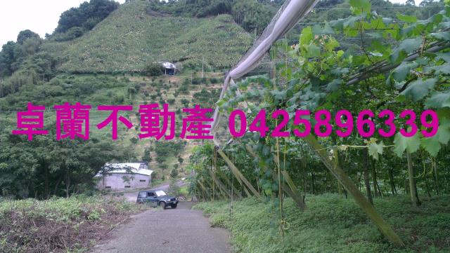 苗栗卓蘭農地-5