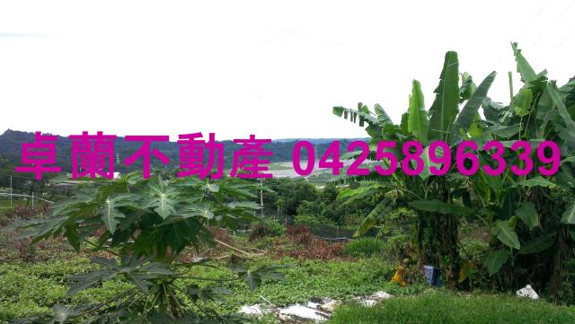 苗栗卓蘭農地-7