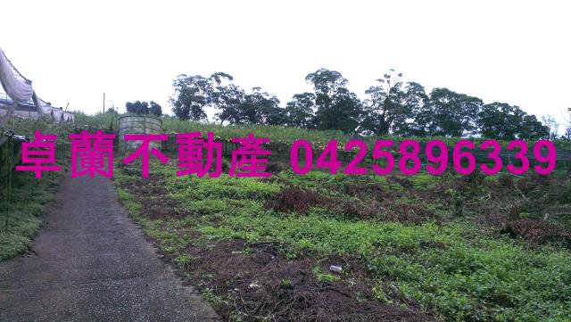 苗栗卓蘭農地-8