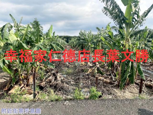 台南新市農地-1