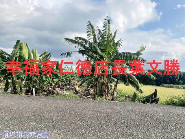 台南新市農地-9