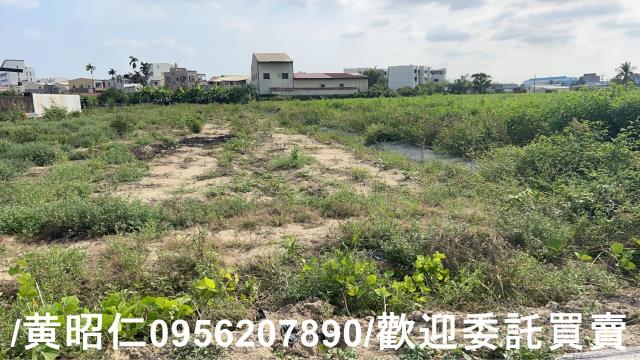 台南永康農地-2