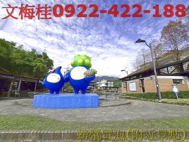 宜蘭員山農地-9