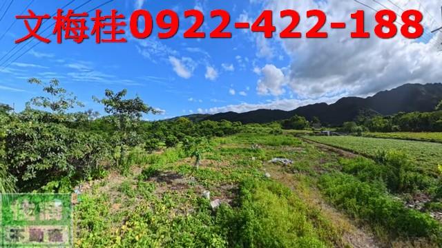 宜蘭員山農地-8