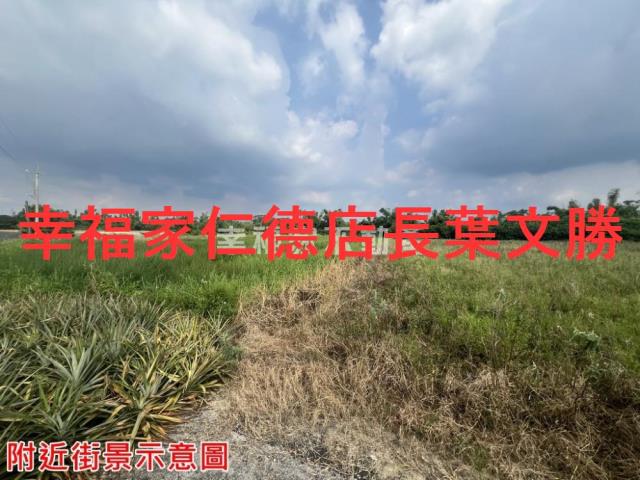 新市農地-4
