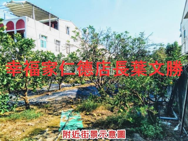 麻豆農地-15