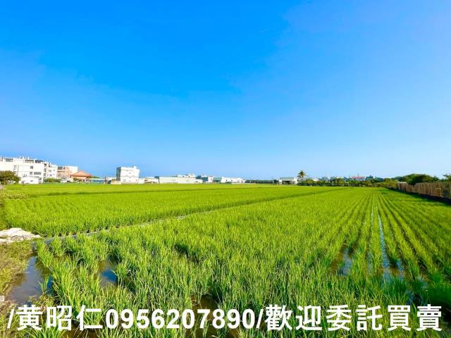 歸仁農地-6