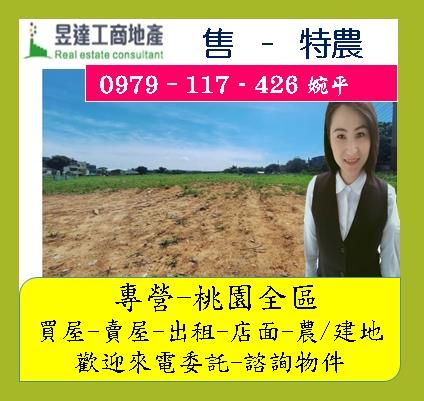 桃園農地-1