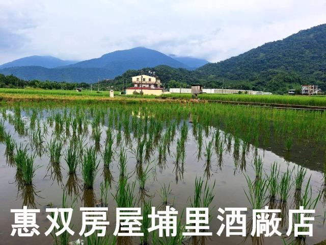 南投埔里農地-3