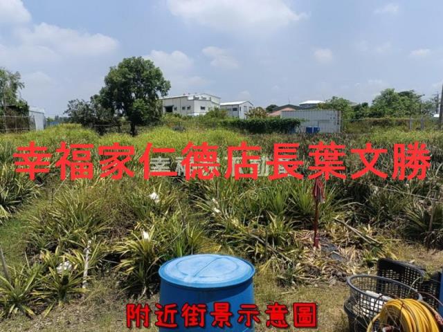 新化農地-9