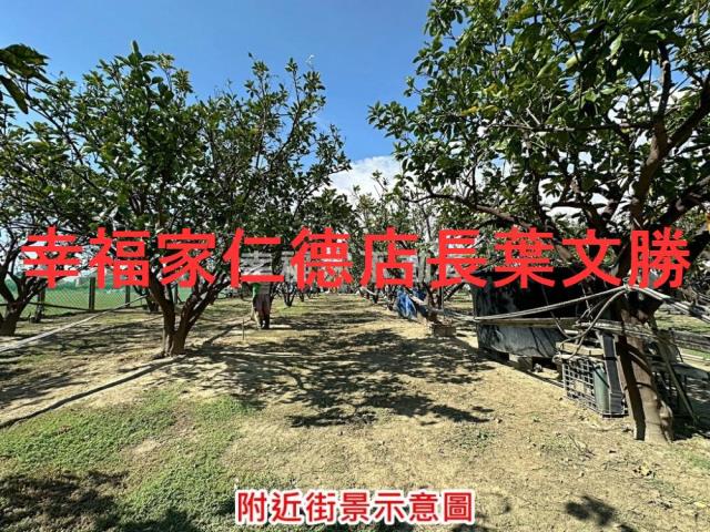 麻豆農地-15