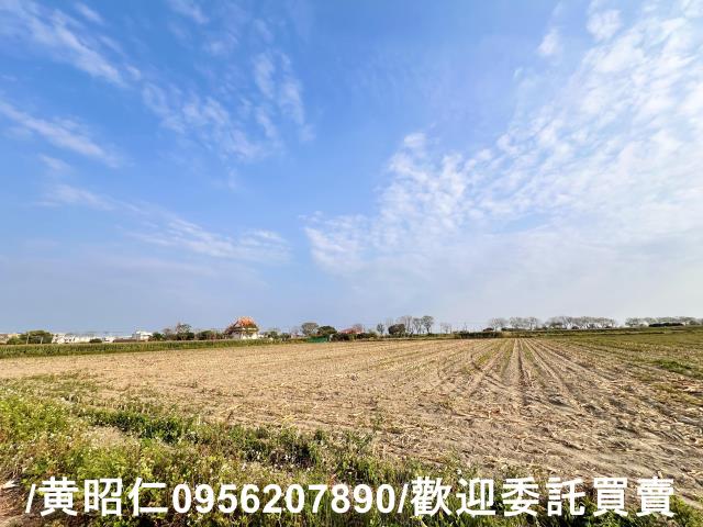 新營農地-3