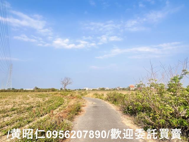 新營農地-6