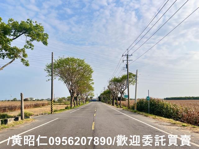 新營農地-7