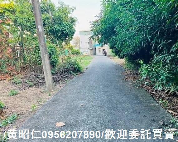 新化建地-1