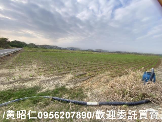 新市農地-2