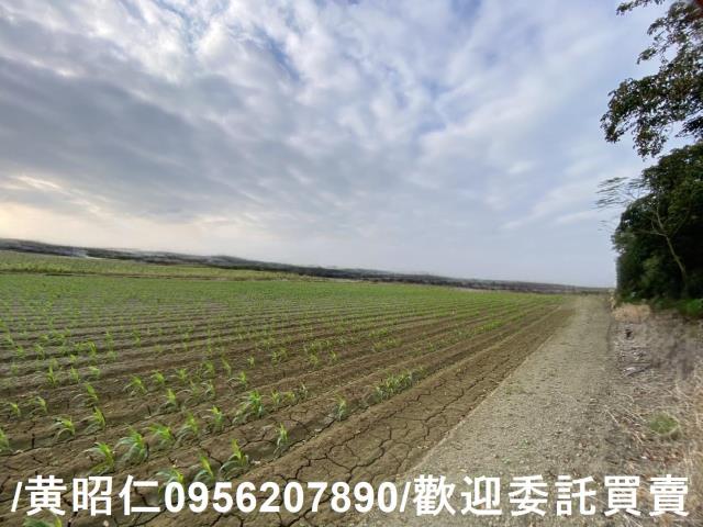 新市農地-3