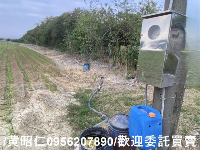 新市農地-5