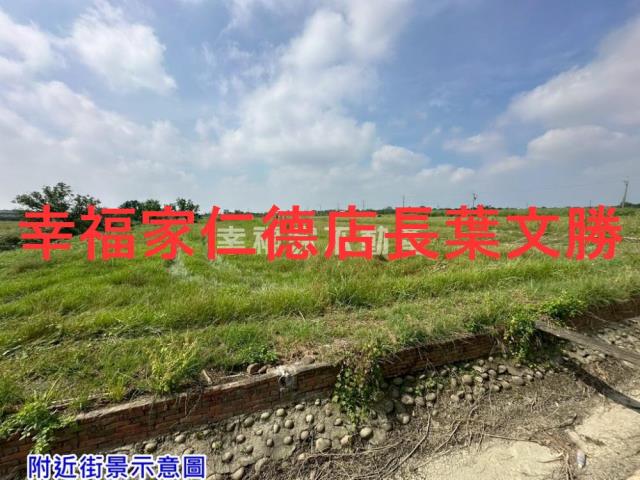 佳里農地-12