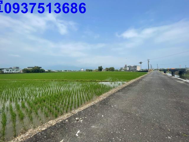 宜蘭農地-5