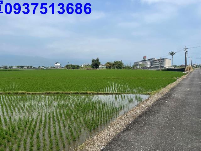 宜蘭農地-6