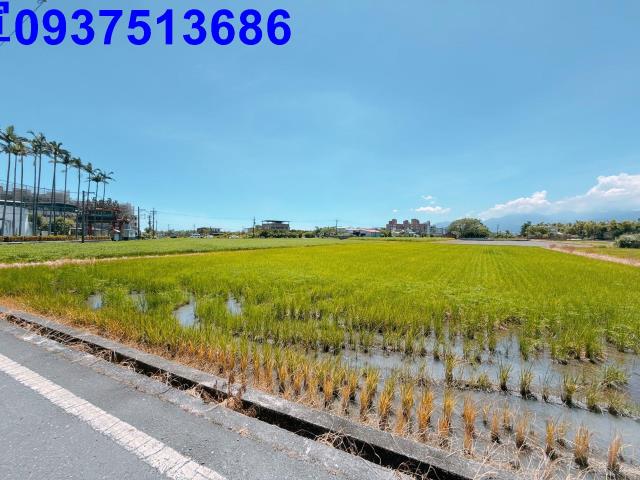 宜蘭農地-15