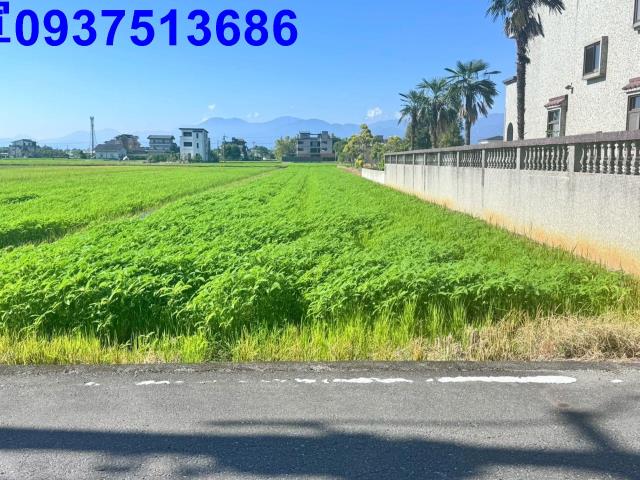 宜蘭農地-3