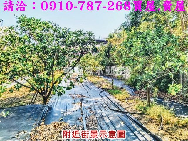 台南麻豆農地-7
