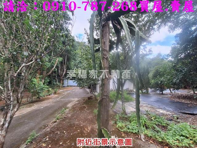 南投埔里農地-9