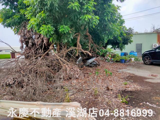 彰化埔鹽農地-3