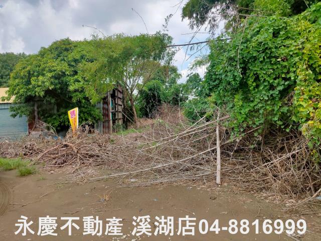 彰化埔鹽農地-10