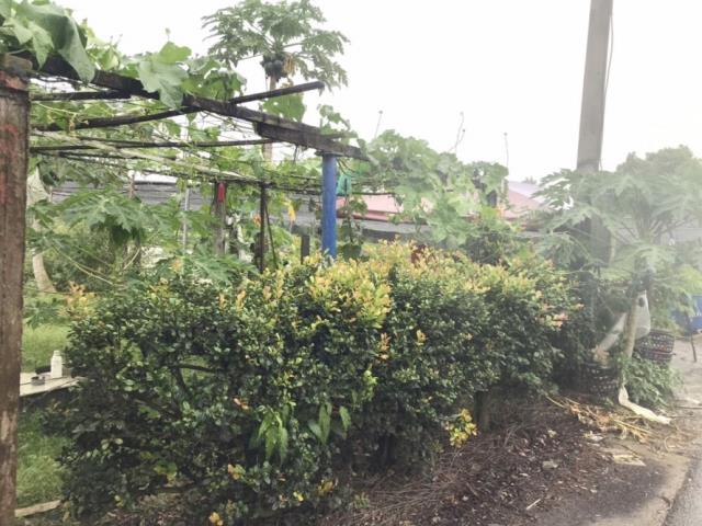台南南區農地-12