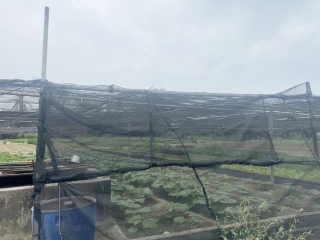 台南南區農地-5