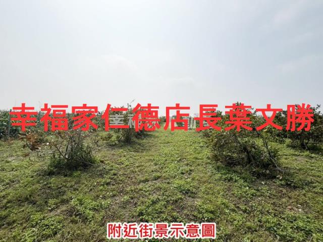 台南鹽水農地-13