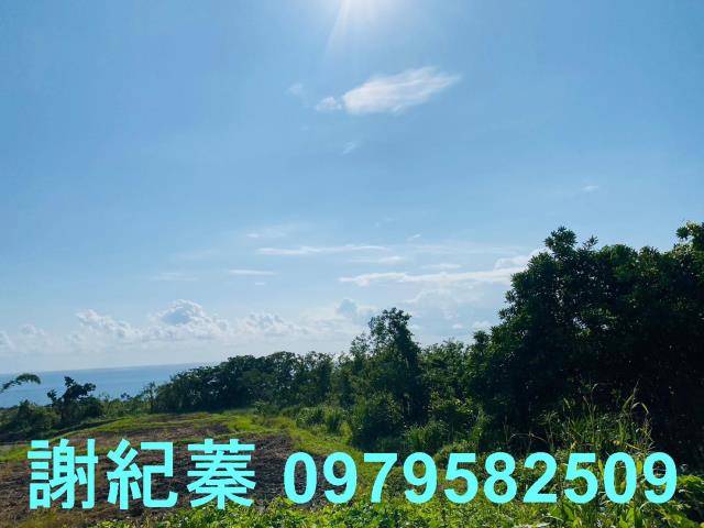 長濱農地-1