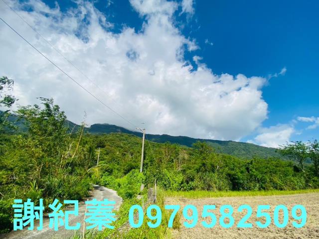 長濱農地-3