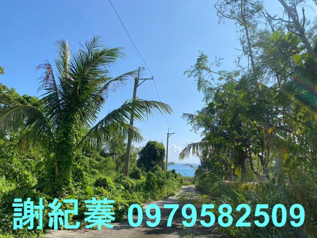 長濱農地-5