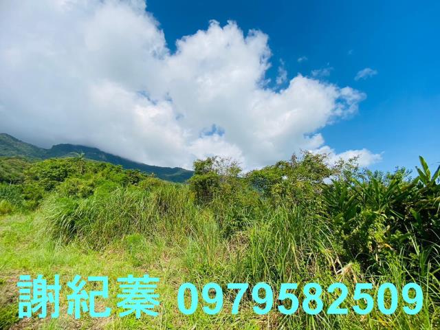 長濱農地-7
