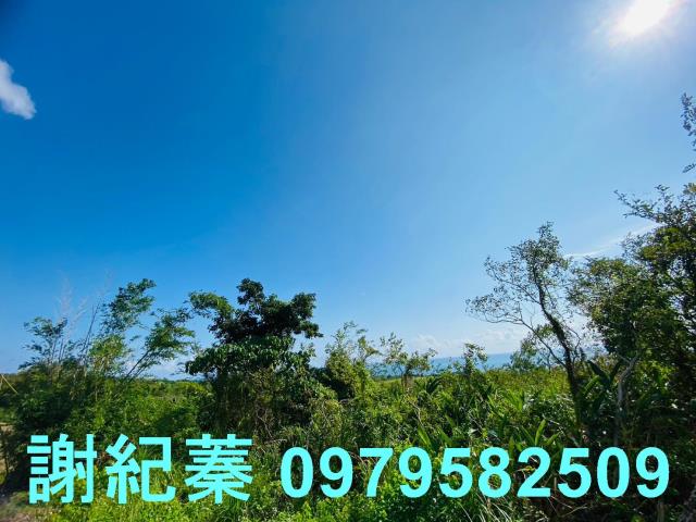長濱農地-9